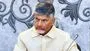 CM Chandrababu: రెవెన్యూ శాఖపై  సీఎం చంద్రబాబు సీరియస్