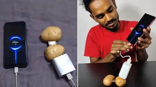 Potato phone charge: ఇది నిజంగా సాధ్యమా.. బంగాళాదుంపలతో ఫోన్‌కు ఛార్జింగ్ ఎలా పెడుతున్నాడో..