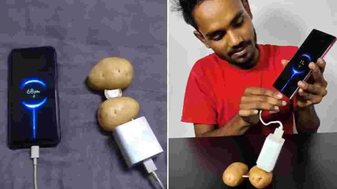 Potato phone charge: ఇది నిజంగా సాధ్యమా.. బంగాళాదుంపలతో ఫోన్‌కు ఛార్జింగ్ ఎలా పెడుతున్నాడో..