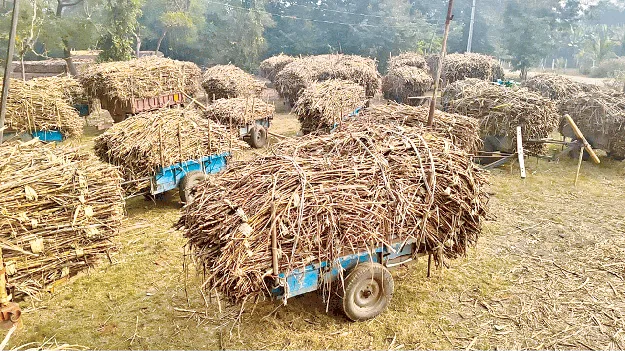  Farmers  పంట కదలక..  వేదన తీరక!