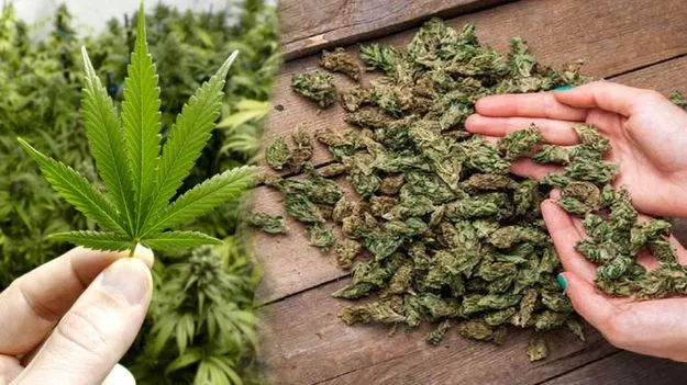 Secunderabad: విశాఖపట్నం టు ఢిల్లీ.. వయా సికింద్రాబాద్..