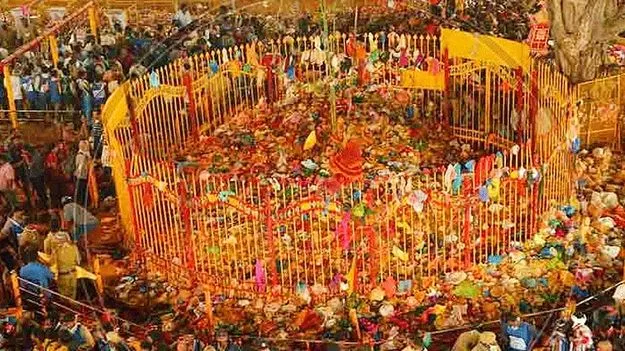 Medaram Jathara: మేడారానికి ఆర్టీసీ ప్రత్యేక బస్సులు