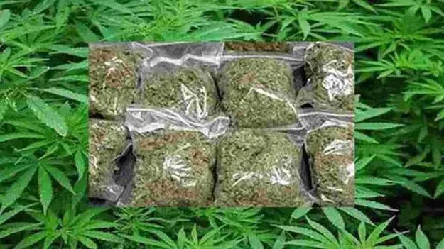 Hyderabad: నాగపూర్‌లో కొనుగోలు.. రైలులో హైదరాబాద్‏కు..