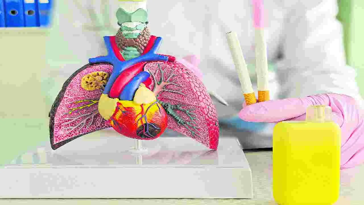 Health: సీవోపీడీతో ఊపిరితిత్తులు ఉక్కిరి బిక్కిరి..