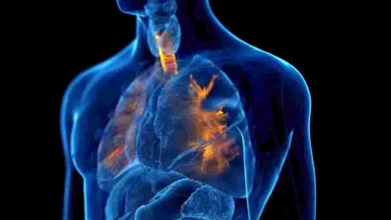 Health: సన్నబడిన శ్వాసనాళానికి చికిత్స..