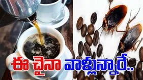 Cockroach Coffee: బొద్దింకలతో కాఫీ.. దీని రేటు, ప్రయోజనాలు తెలిస్తే నోరెళ్లబెట్టాల్సిందే..