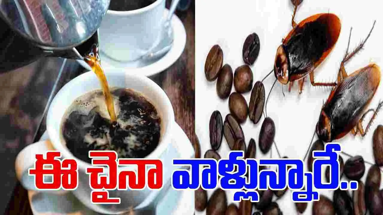 Cockroach Coffee: బొద్దింకలతో కాఫీ.. దీని రేటు, ప్రయోజనాలు తెలిస్తే నోరెళ్లబెట్టాల్సిందే..