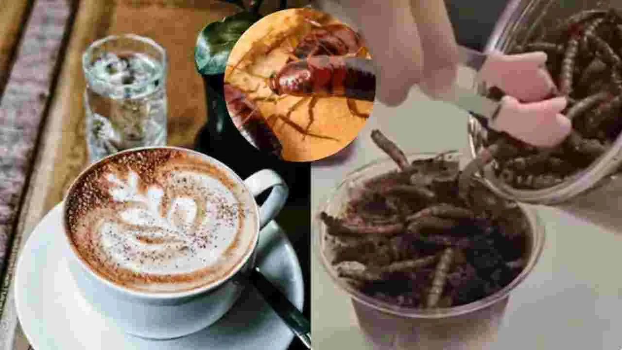 Cockroach coffee: చచ్చిన బొద్దింకలు, కీటకాలు.. ఈ స్పెషల్ కాఫీ ధర ఎంతో తెలిస్తే షాక్..