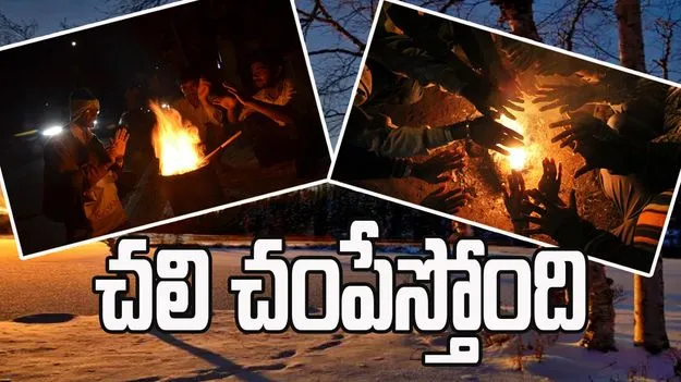 Cold-wave: తెలంగాణలో ఎముకలు కొరికే చలి..