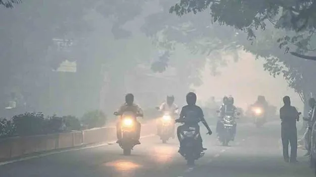 Cold Waves In Telangana: పెరిగిన చలి.. ఈ జిల్లాలకు ఎల్లో అలర్ట్