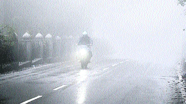 చలిపులి పంజా