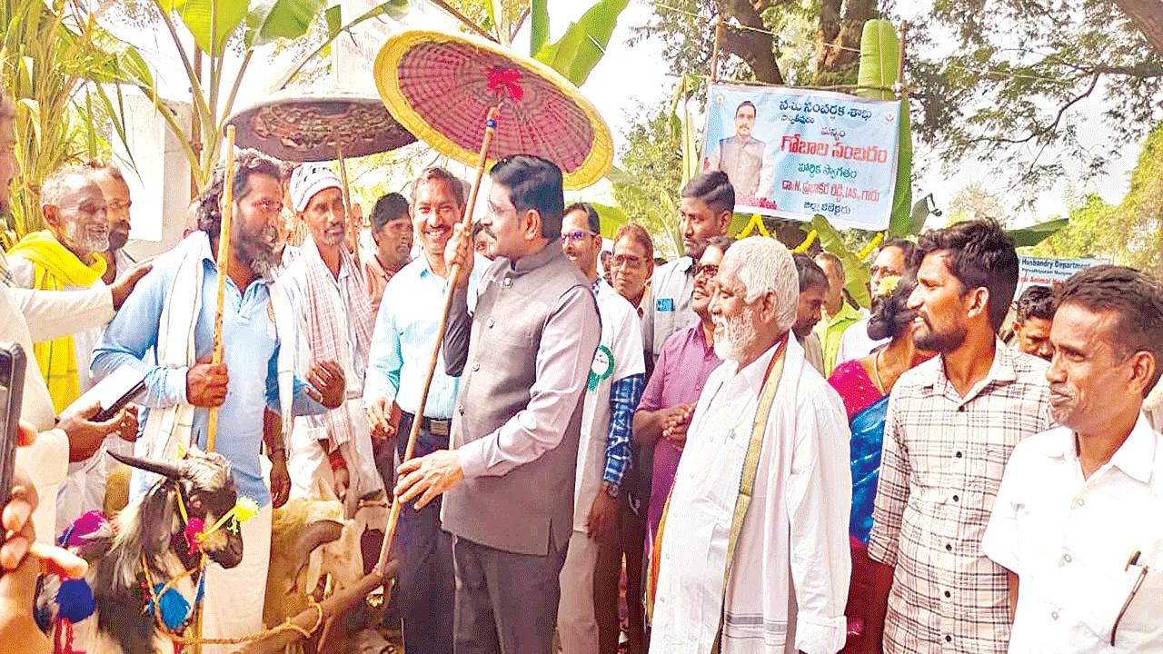 Economic Growth  పశుపోషణతో ఆర్థికాభివృద్ధి