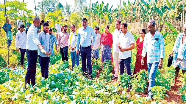  Natural Farming ప్రకృతి సాగుతో నిరంతర ఆదాయం