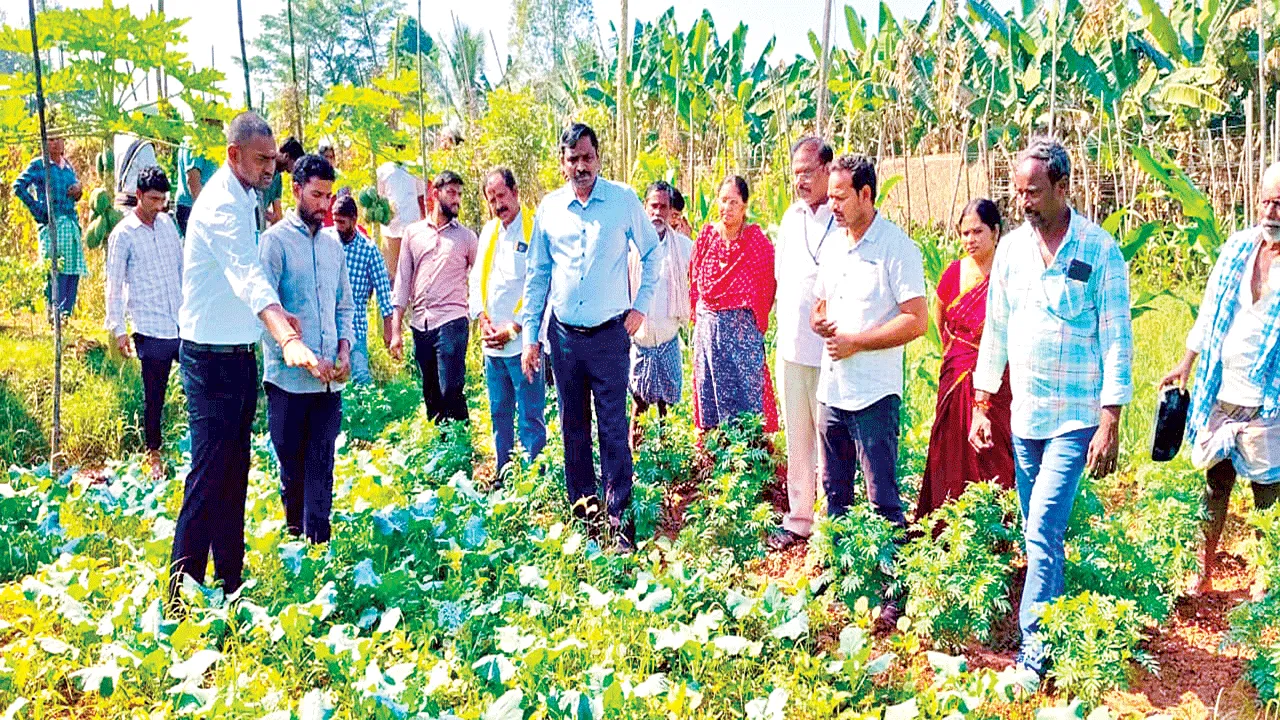 Natural Farming ప్రకృతి సాగుతో నిరంతర ఆదాయం