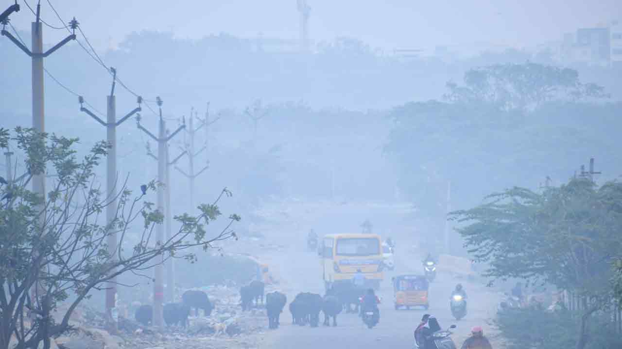 తెలంగాణలో తగ్గిన చలి.. కోల్డ్ వేవ్‌కు బ్రేక్!