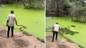 Crocodile attack: వామ్మో.. మొసలికి ఎంత కోపం వచ్చిందో చూడండి.. ఒళ్లు జలధరించే వీడియో..