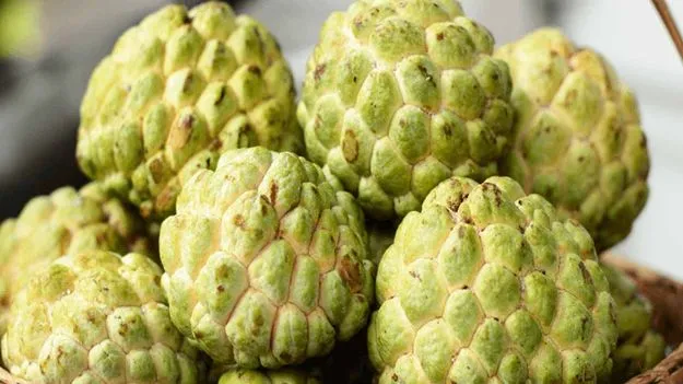 Simple Trick to Separate Seeds from Custard Apple: సీతాఫలం నుంచి గింజలను సింపుల్‌గా ఇలా వేరు చేయవచ్చు.. 