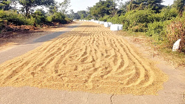  Paddy Procurement  ధాన్యం కొనుగోలుకు సర్వం సిద్ధం