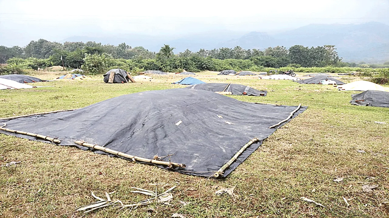Light Rain All Day  రోజంతా చినుకులు