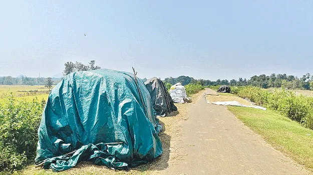   Target?  లక్ష్యం చేరుకుంటారా?