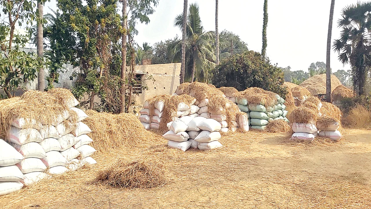 sad situation in farmers  కల్లాల్లో ధాన్యం.. రైతుల్లో దైన్యం!