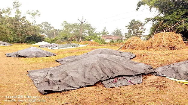Alas… The Farmer!  అయ్యో.. అన్నదాత!