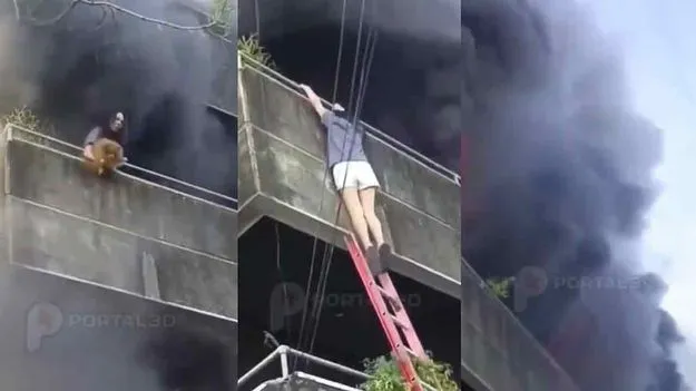 Dog Mom Rescues Pet: పెంపుడు కుక్క కోసం ప్రాణాలకు తెగించిన యువతి.. వైరల్‌గా మారిన వీడియో.. 