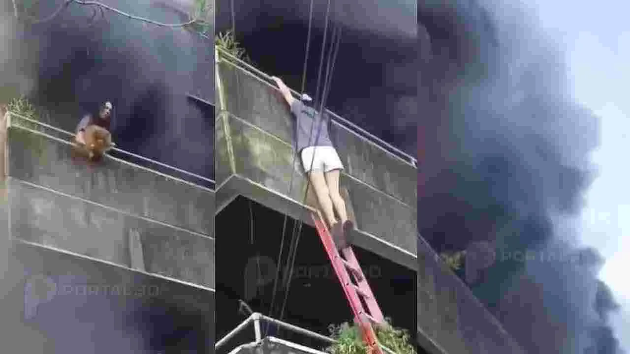 Dog Mom Rescues Pet: పెంపుడు కుక్క కోసం ప్రాణాలకు తెగించిన యువతి.. వైరల్‌గా మారిన వీడియో.. 