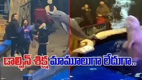 Funny Viral Video: నిషేధిత ప్రాంతంలో సిగరెట్ తాగుతున్న వ్యక్తికి.. ఎవరు ఎలాంటి శిక్ష వేశారో చూస్తే.. 
