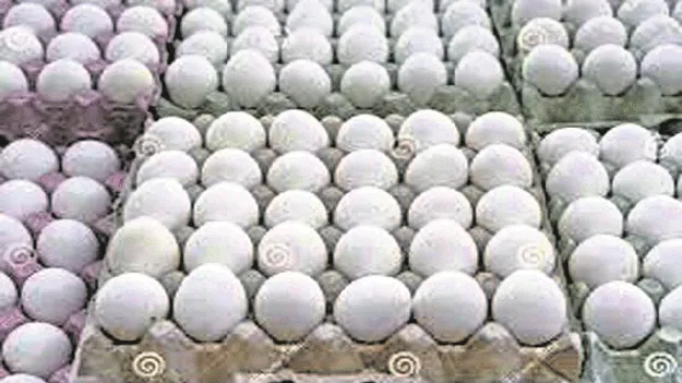 kumaram bheem asifabad- కొండెక్కిన కోడిగుడ్డు ధర