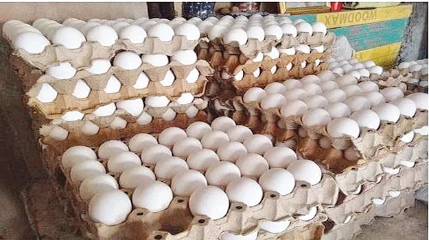 Egg Prices Soar  కొండెక్కిన గుడ్డు ధర