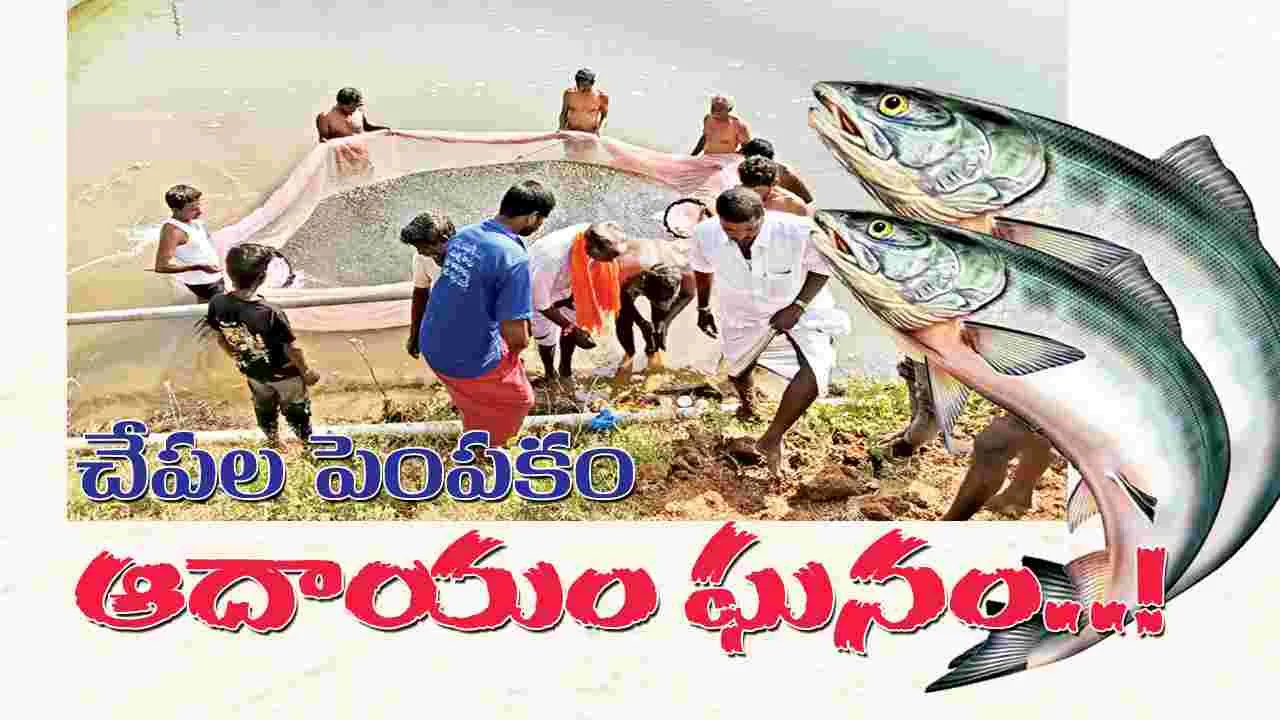 చేపల పెంపకం.. ఆదాయం ఘనం..!