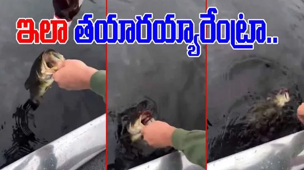Fish Viral Video: ఇదెక్కడి సరదారా నాయనా.. చేపను పట్టుకుని మరీ.. 