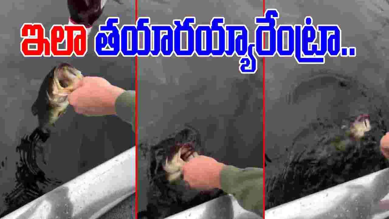 Fish Viral Video: ఇదెక్కడి సరదారా నాయనా.. చేపను పట్టుకుని మరీ.. 