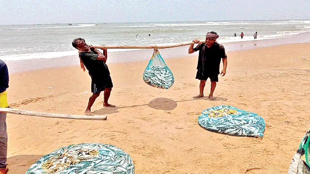 happy fishermans ఆశాజనకంగా మత్స్య సంపద