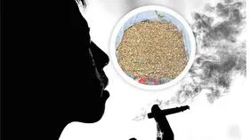 Ganja Trade: భారీగా గంజాయి స్వాధీనం.. 30 మందికి పైగా అరెస్ట్