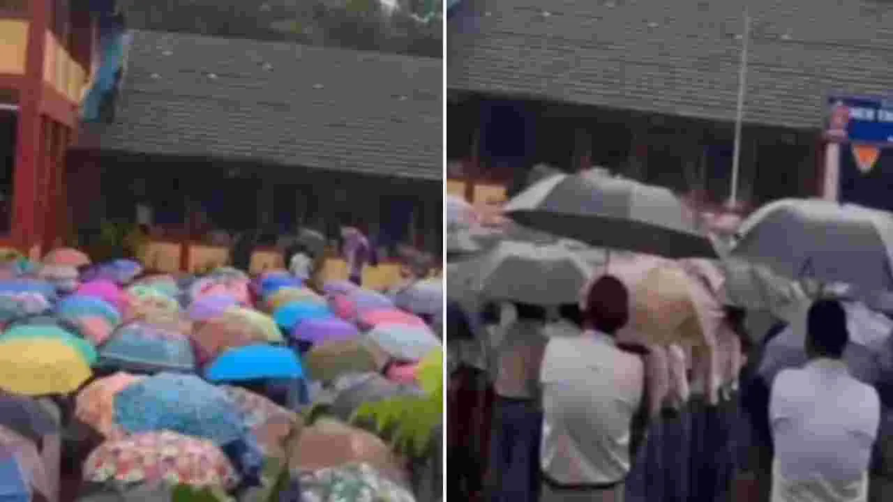 Boys vs girls video: అమ్మాయిలు, అబ్బాయిల మధ్య తేడా చూశారా.. వీడియో చూస్తే ఫుల్ క్లారిటీ..