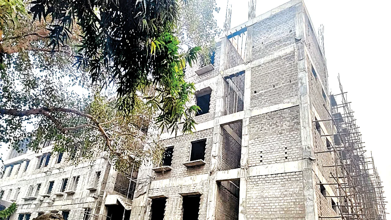 Development   ప్రగతి పరుగులు పెట్టాలని..