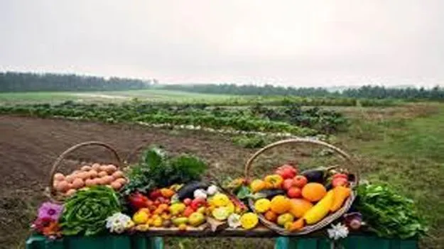 ప్రకృతి సేద్యం