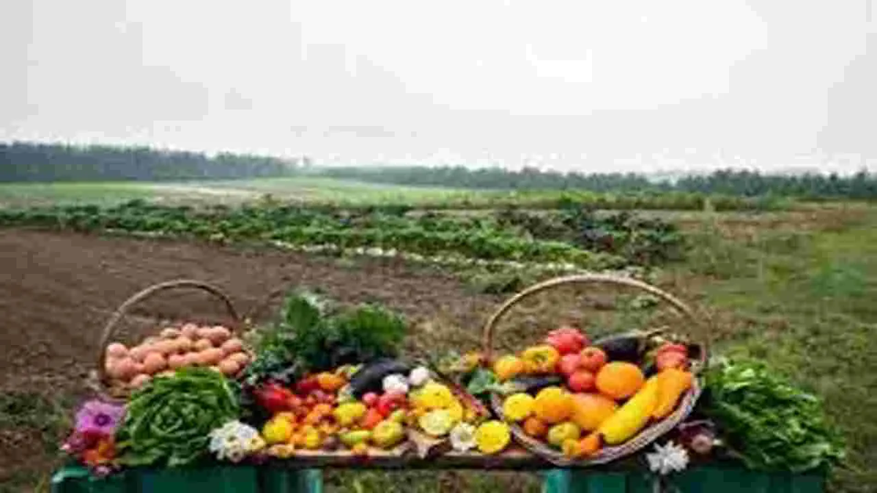 ప్రకృతి సేద్యం