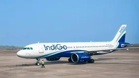 IndiGo shares fall: ఇండిగో షేర్లు ఢమాల్.. భారీగా విలువ కోల్పోతున్న ఇంటర్‌గ్లోబ్ ఏవియేషన్..