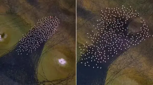 Iran lake mystery: వావ్.. ఇరాన్ సరస్సుపై అందమైన దృశ్యం.. వీడియో చూస్తే ఫిదా కావాల్సిందే..