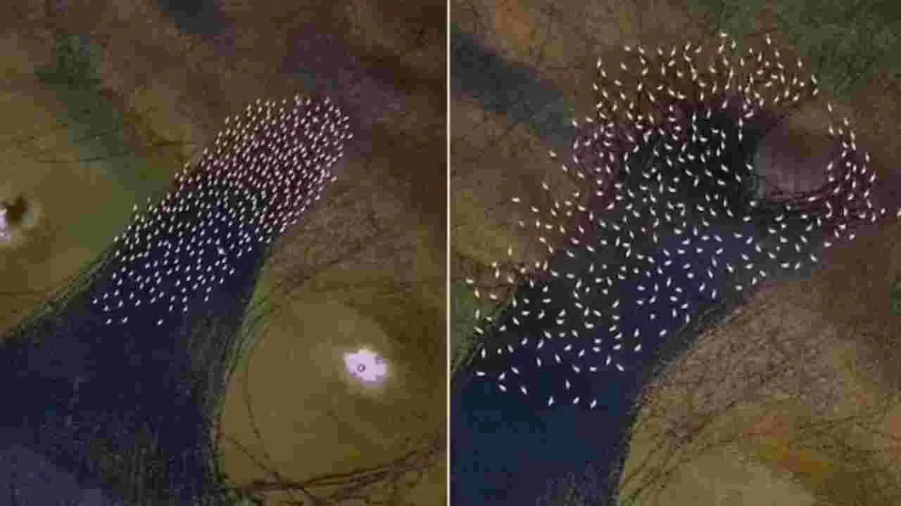 Iran lake mystery: వావ్.. ఇరాన్ సరస్సుపై అందమైన దృశ్యం.. వీడియో చూస్తే ఫిదా కావాల్సిందే..