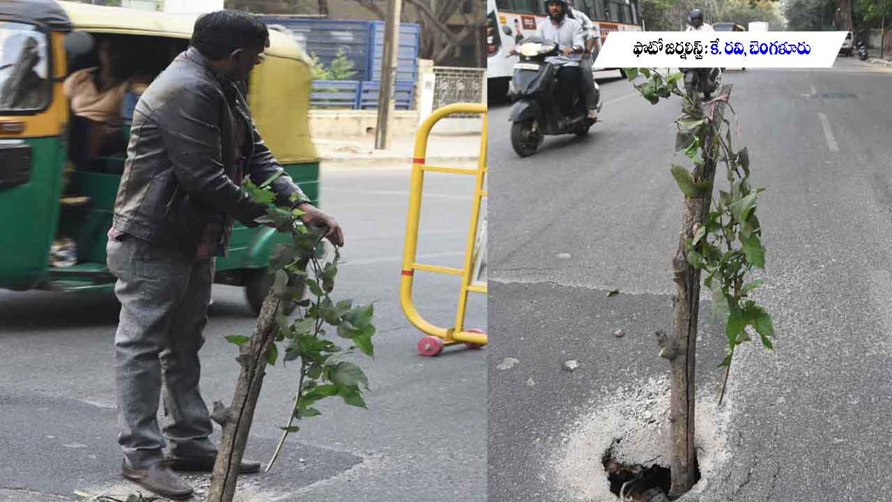 ప్రతీ మనసును తట్టిలోపే అద్భుత దృశ్యాలు..