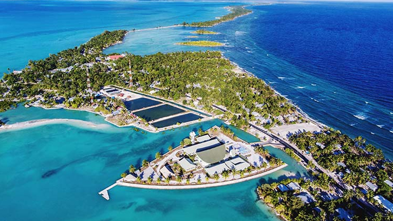 New Year Celebrations: ప్రపంచంలో ఫస్ట్.. లాస్ట్.. న్యూఇయర్ సెలబ్రేట్ చేసుకునే దేశాలివే..