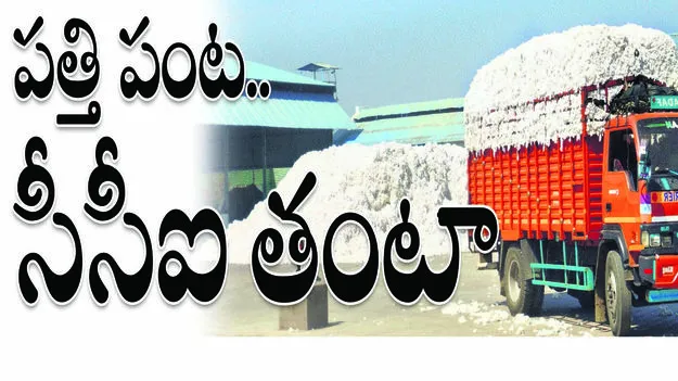 పత్తి పంట.. సీసీఐ తంటా