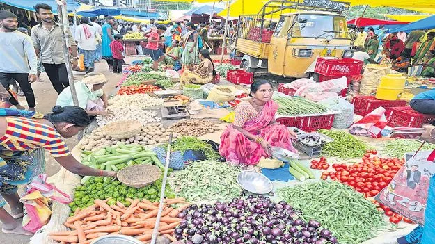 karimnagar :   కూరగాయలకు చలిపీడ 
