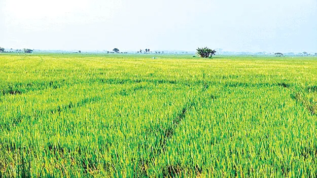 సాదాబైనామాలకు మోక్షం