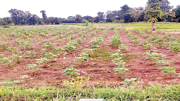   Registration వారసత్వ వ్యవసాయ భూముల  రిజిస్ట్రేషన్‌కు సదవకాశం 