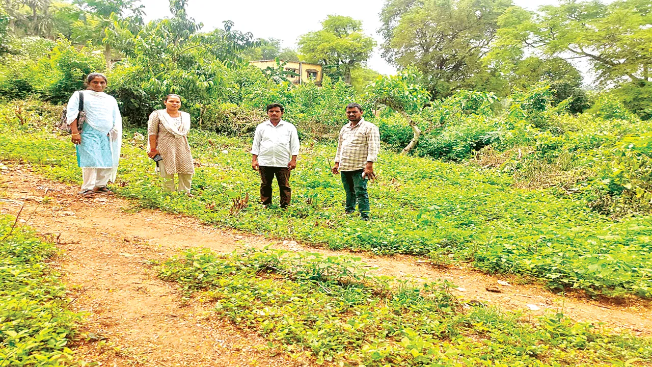 A Healthy Boost   పల్లెలకు ఆరోగ్య యోగం